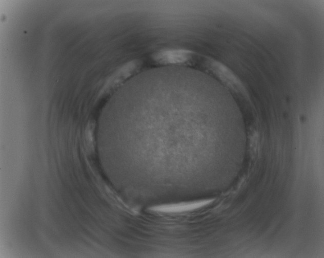 X0000086280373200704051341