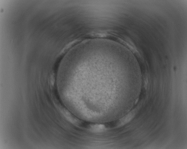 X0000086280374200704051341