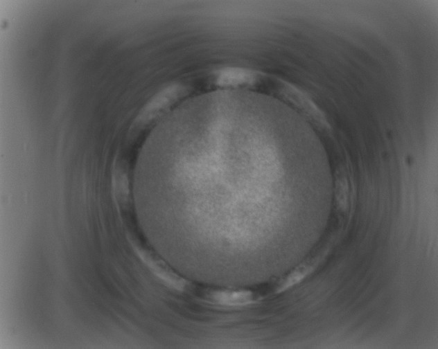 X0000086280375200704051341