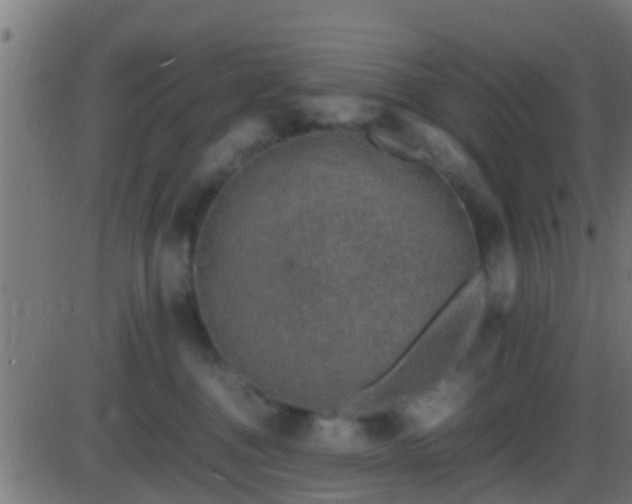 X0000086280376200704051341