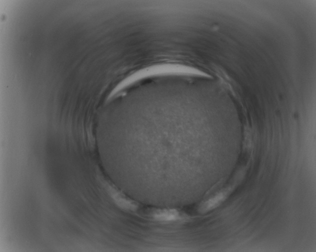 X0000086280377200704051341