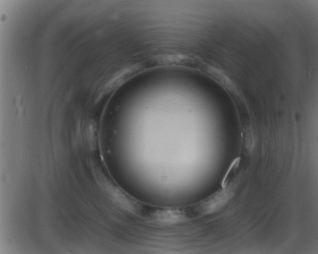 X0000086280378200704051341