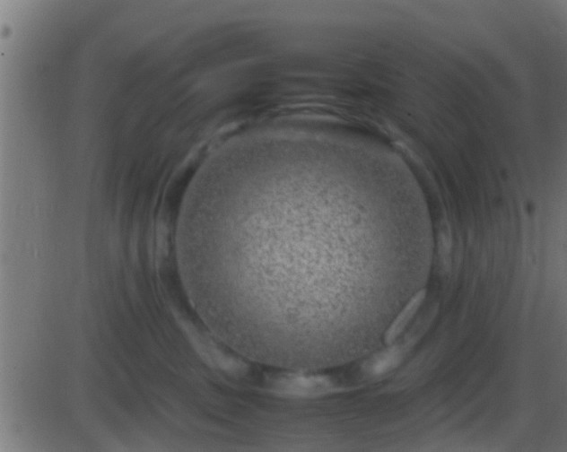 X0000086280379200704051341