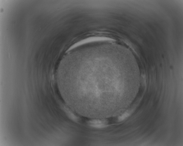 X0000086280381200704051341