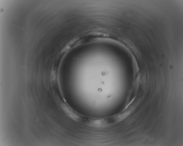 X0000086280382200704051341