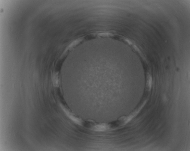 X0000086280383200704051341