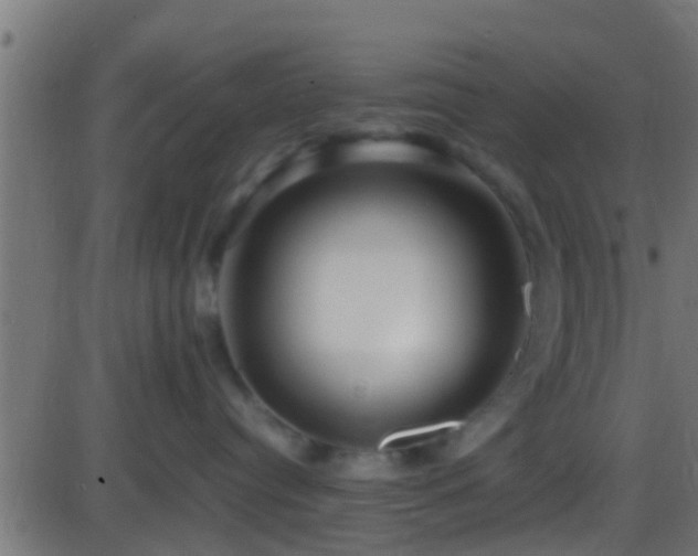 X0000086280384200704051341