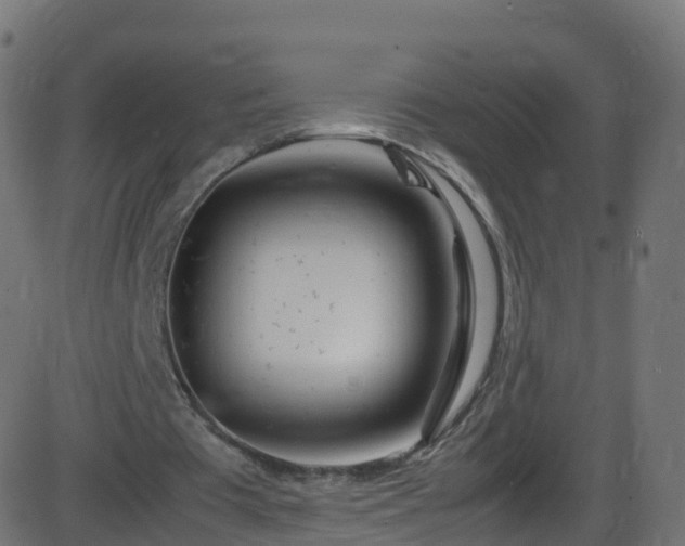 X0000086280385200704051340