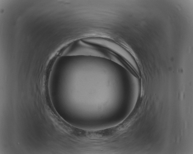 X0000086280387200704051340