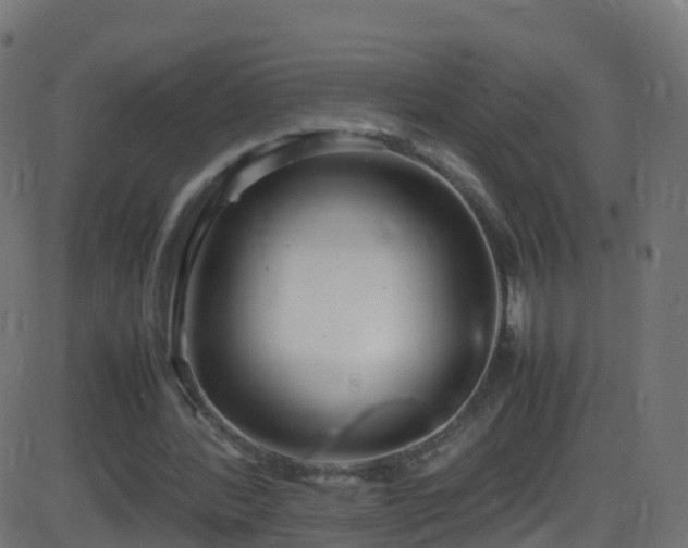 X0000086280388200704051340