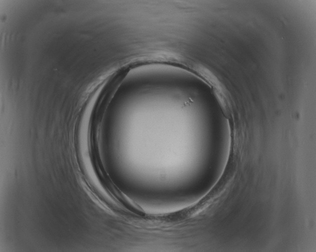 X0000086280389200704051340