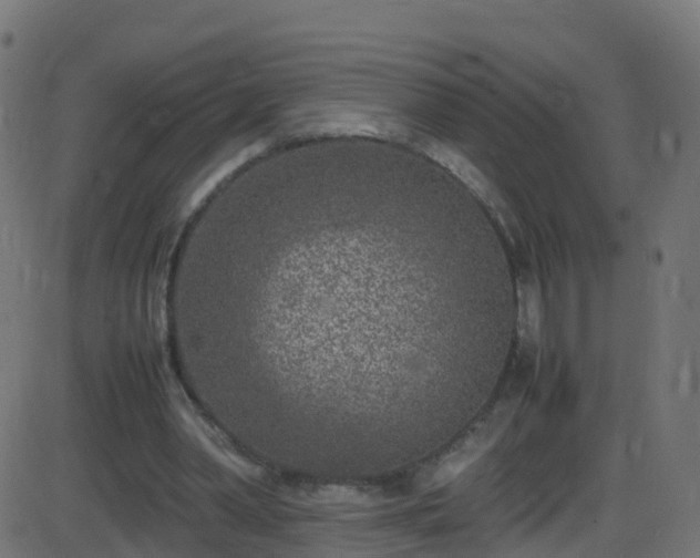 X0000086280390200704051340