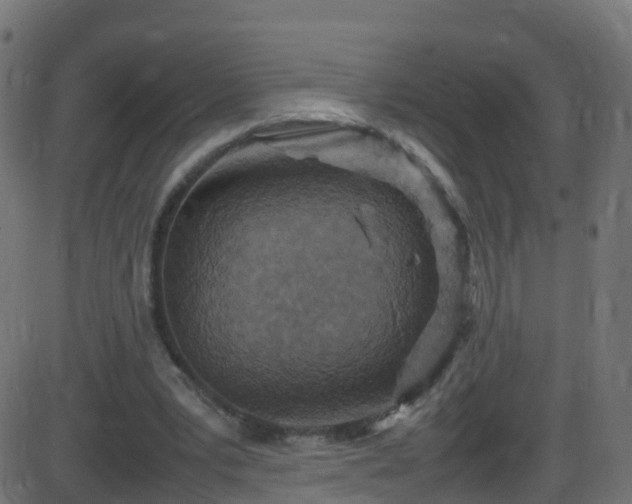 X0000086280391200704051340