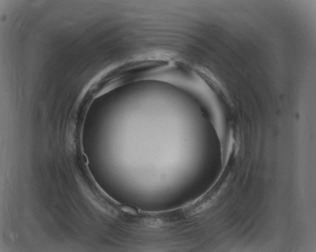 X0000086280392200704051340