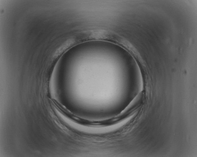 X0000086280393200704051340