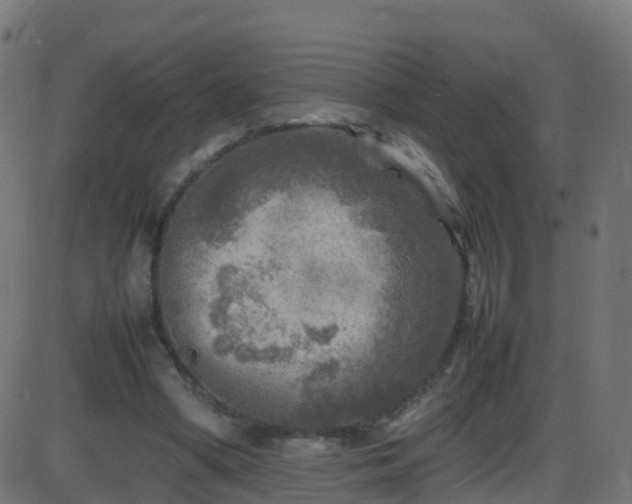 X0000086280394200704051340