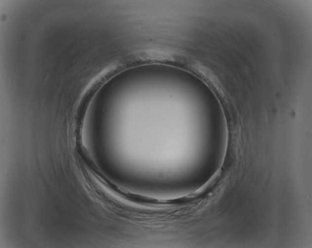 X0000086280395200704051340