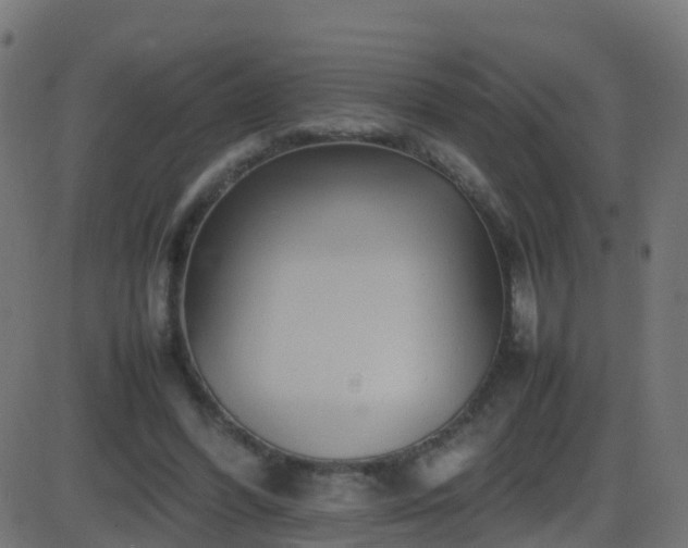 X0000086280396200704051340