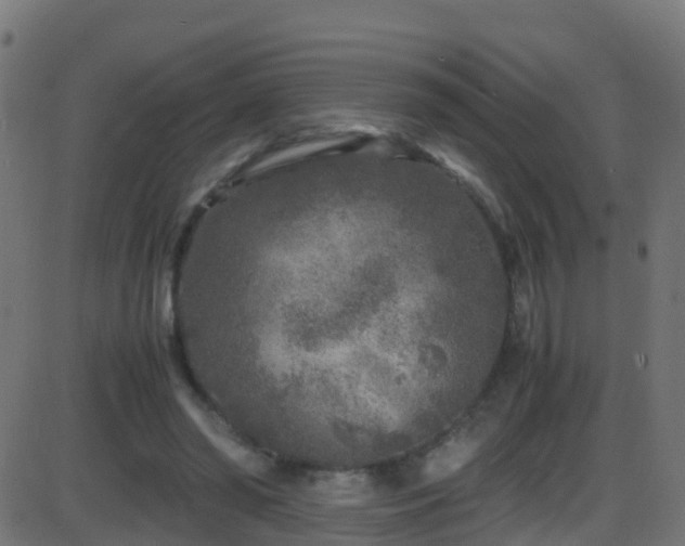 X0000086280398200704051340