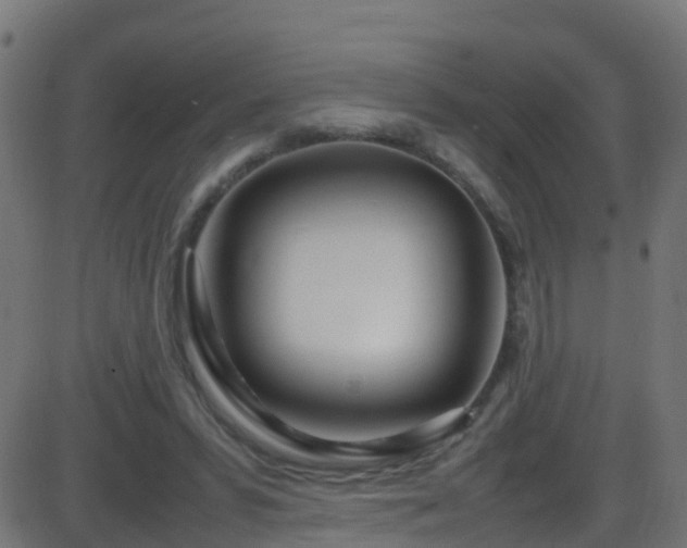 X0000086280399200704051340