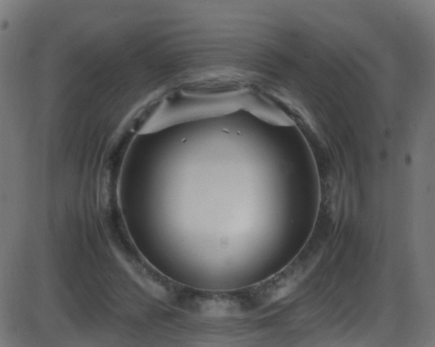 X0000086280400200704051340