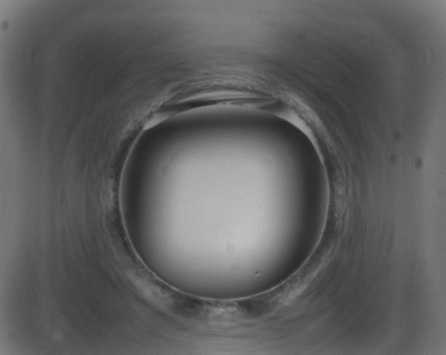 X0000086280401200704051340