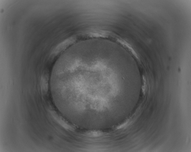 X0000086280402200704051340