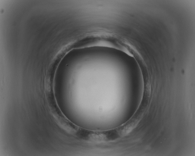 X0000086280403200704051340