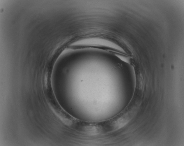 X0000086280404200704051340