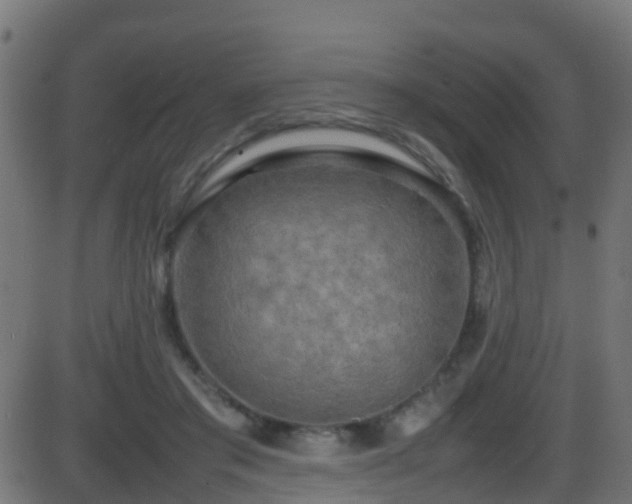 X0000086280405200704051340