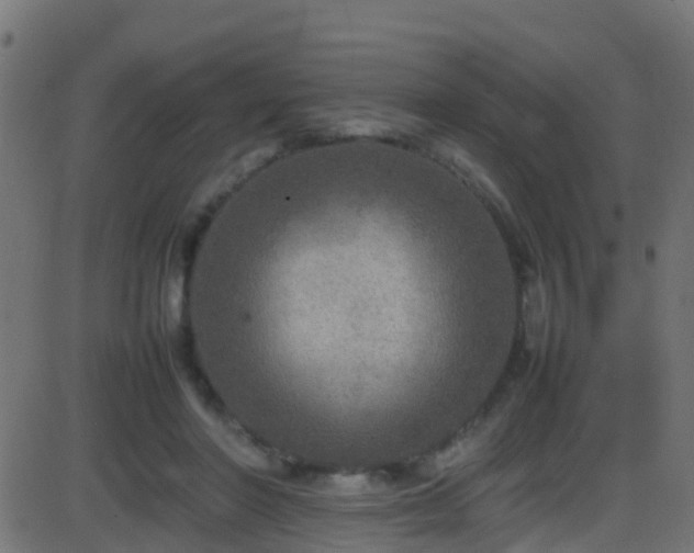 X0000086280406200704051340