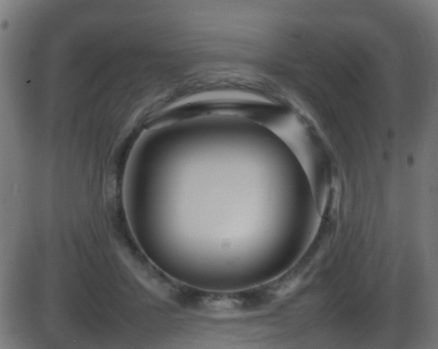 X0000086280407200704051340