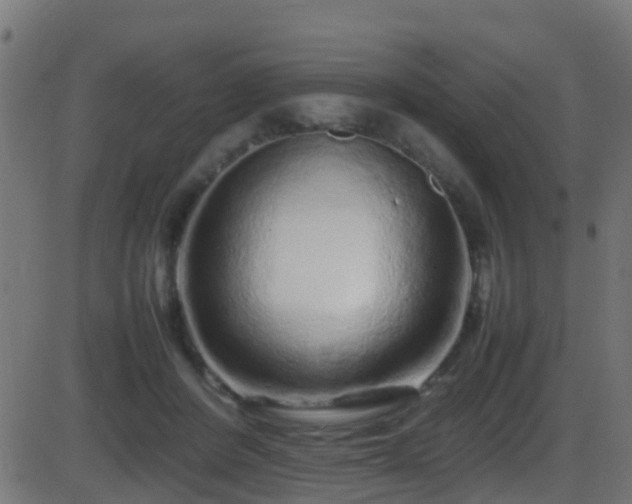 X0000086280408200704051340