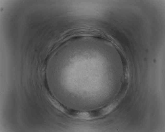 X0000086280409200704051340