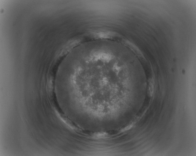 X0000086280410200704051340