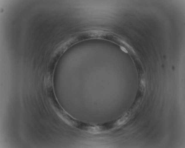 X0000086280411200704051340