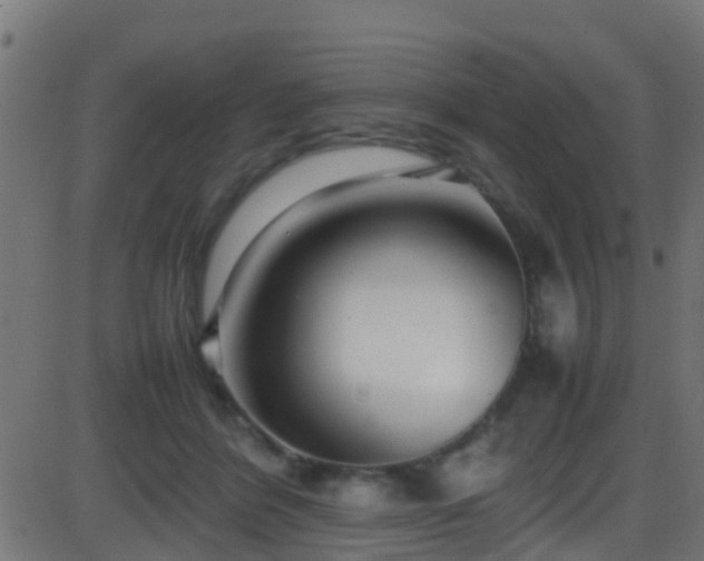 X0000086280412200704051340