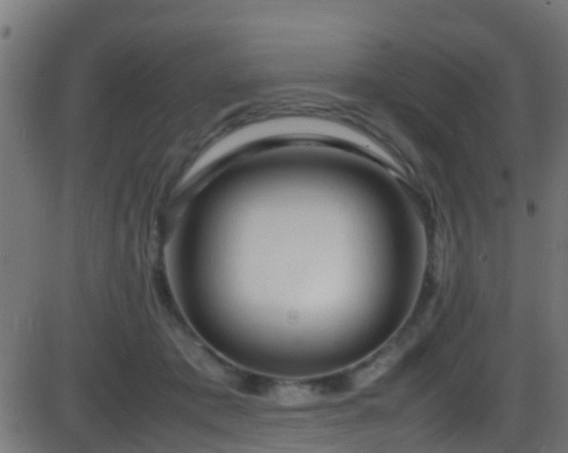 X0000086280413200704051340