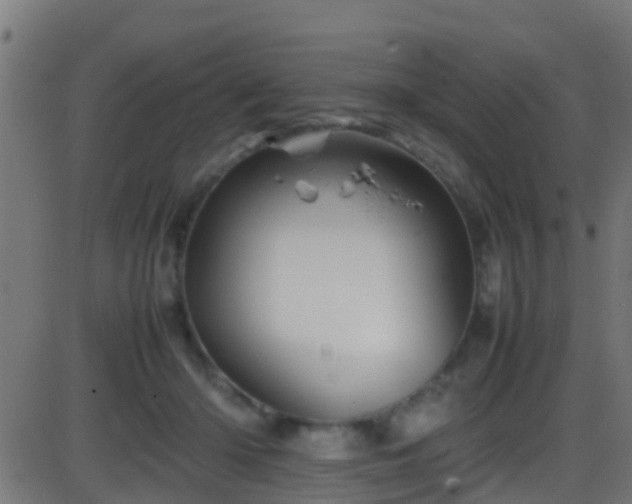 X0000086280414200704051340