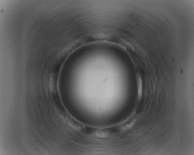 X0000086280416200704051340