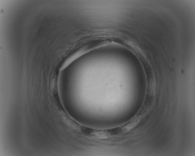 X0000086280417200704051340