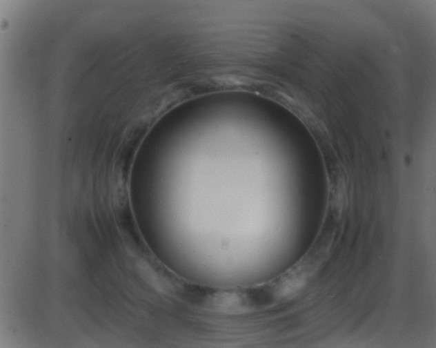 X0000086280418200704051340