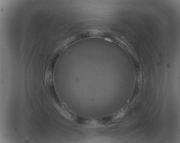 X0000086280419200704051340