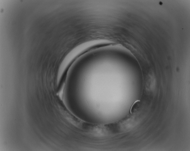 X0000086280420200704051340