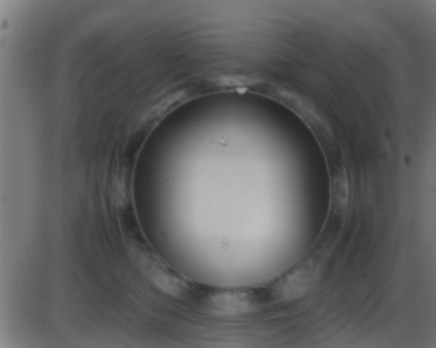 X0000086280422200704051340