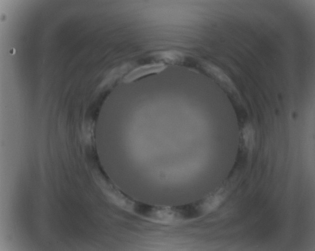 X0000086280423200704051340