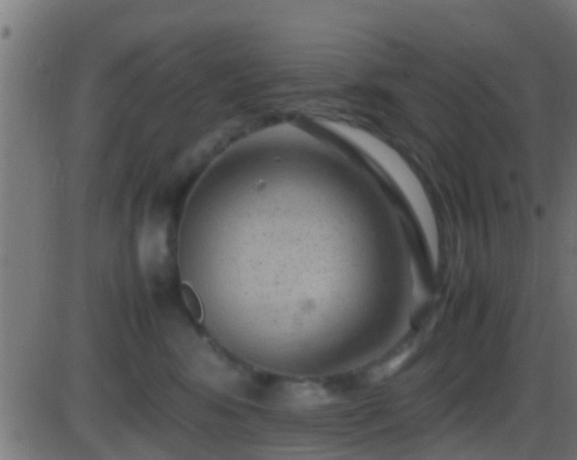 X0000086280424200704051340