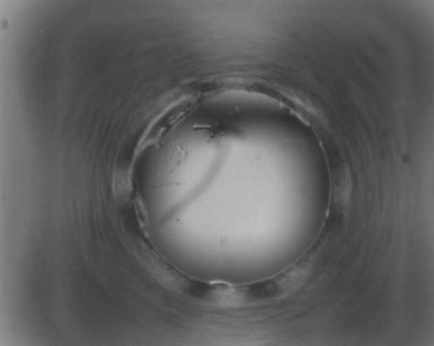 X0000086280425200704051340