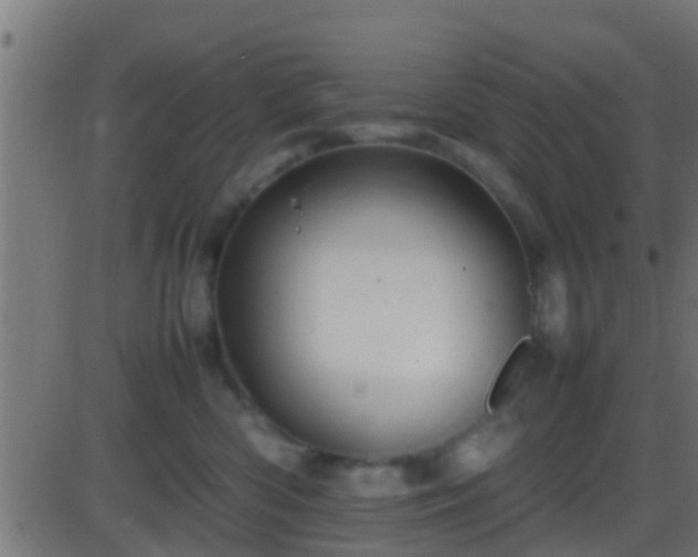 X0000086280426200704051340