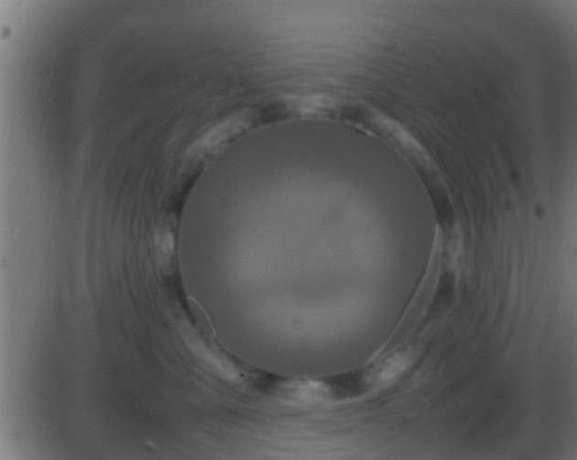 X0000086280427200704051340